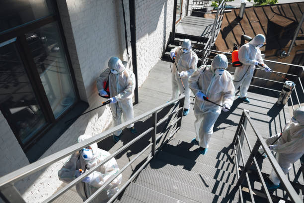Best Post-Construction Mold Inspection  in Fayetteville, WV